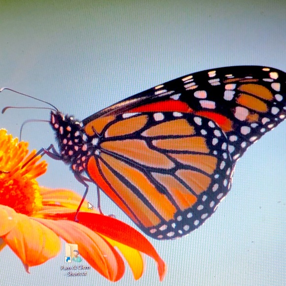 Meet your Posher, Pam - Picture 1 of 1